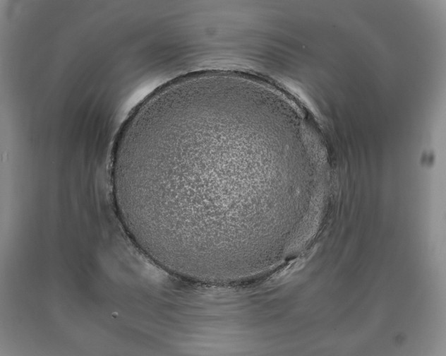 X0000090601071200707241038