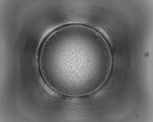 X0000090601072200707241038