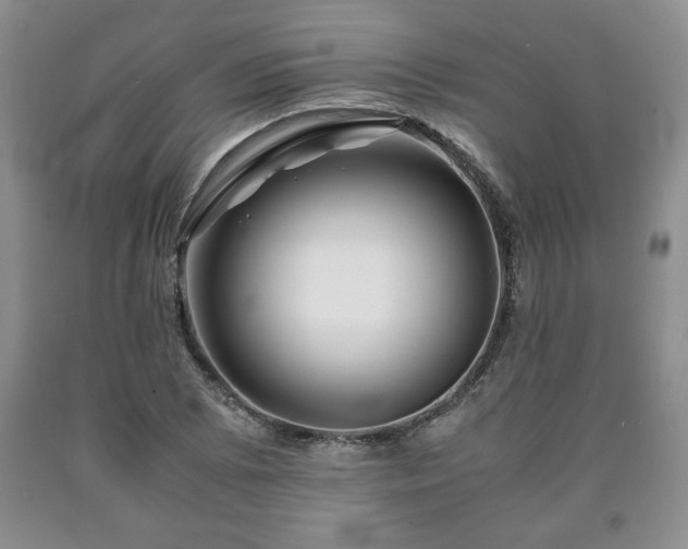 X0000090601073200707241038