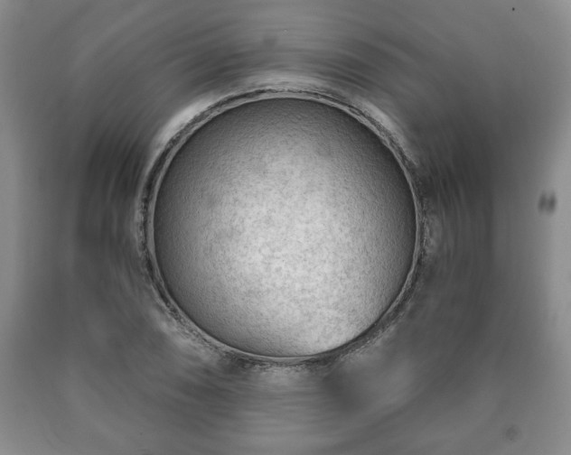 X0000090601074200707241038