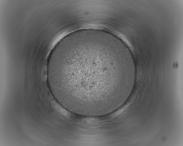 X0000090601075200707241038