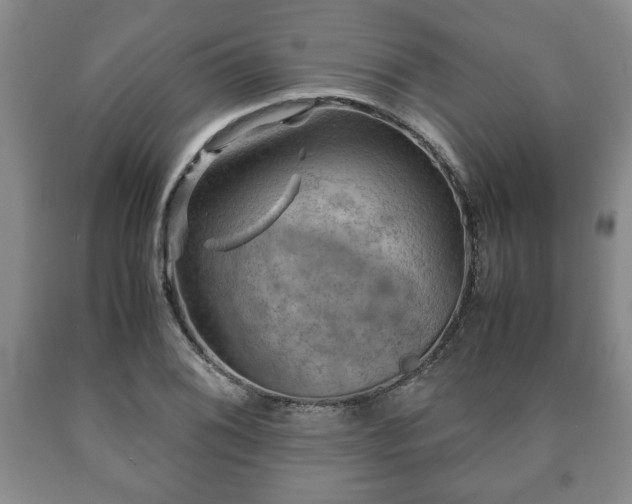 X0000090601076200707241038