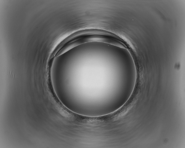 X0000090601077200707241038