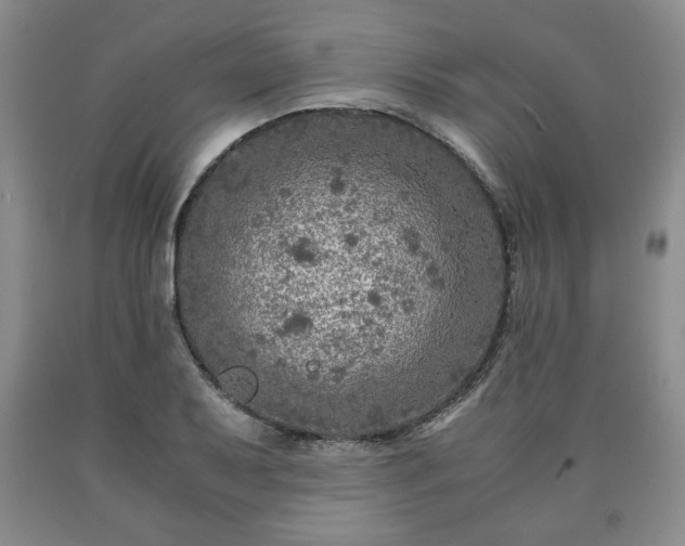 X0000090601079200707241038