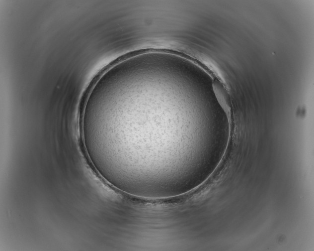 X0000090601080200707241038