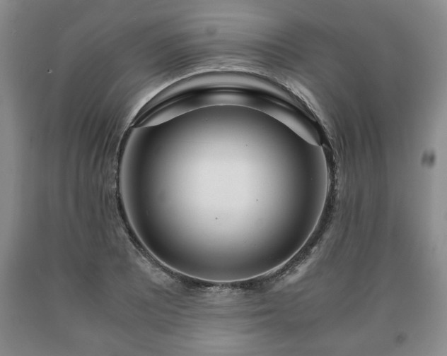 X0000090601081200707241038