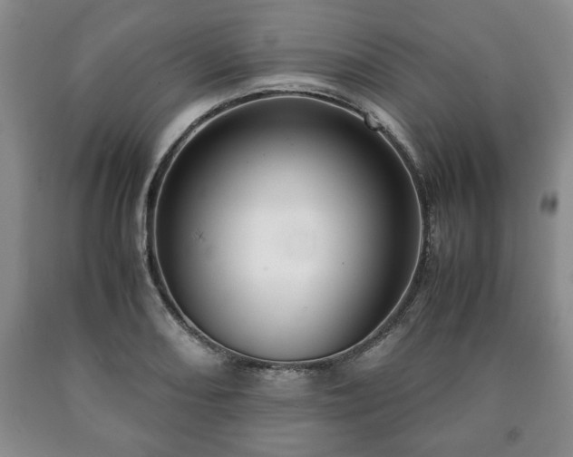 X0000090601082200707241038