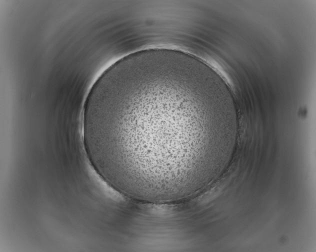 X0000090601084200707241038