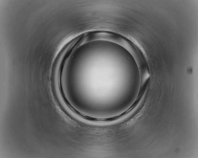 X0000090601085200707241038