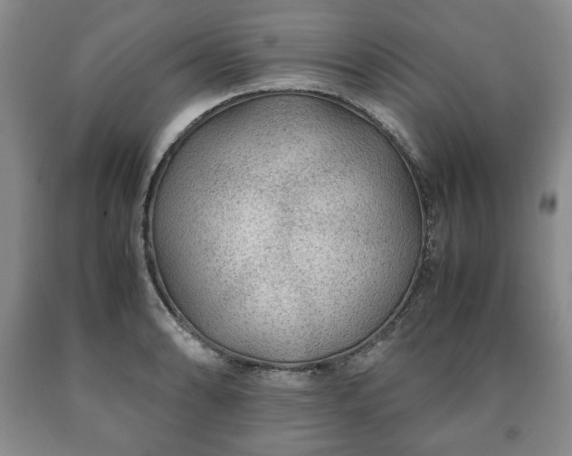 X0000090601086200707241038