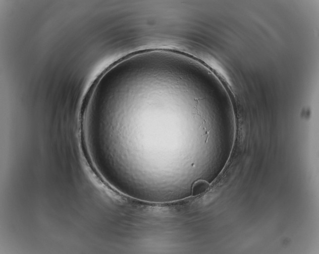 X0000090601088200707241038