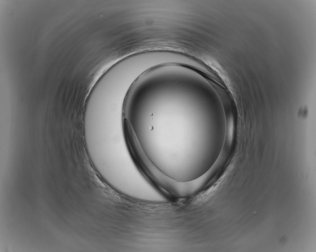 X0000090601089200707241038