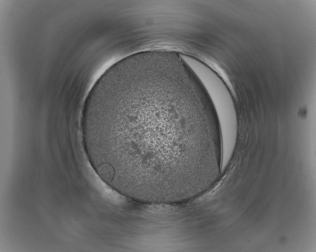 X0000090601091200707241038