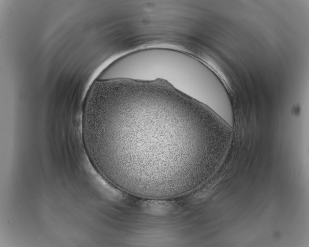 X0000090601092200707241038