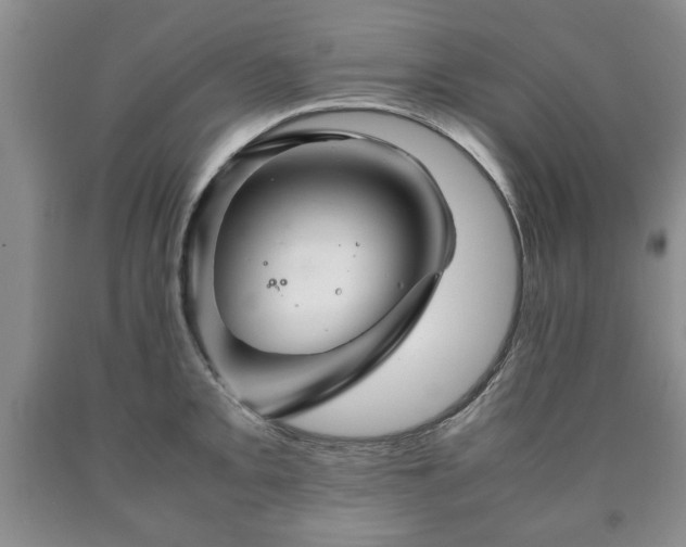 X0000090601093200707241038