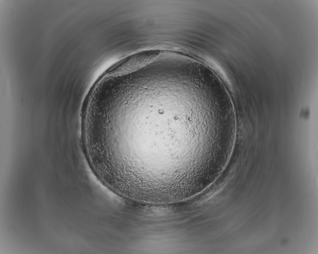 X0000090601095200707241038