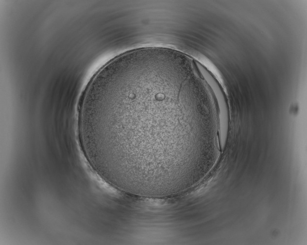 X0000090601096200707241038