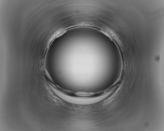 X0000090601097200707241038