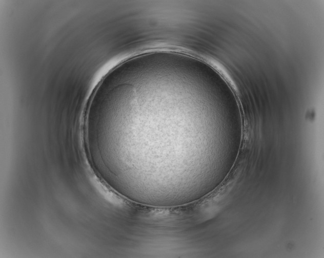 X0000090601098200707241038