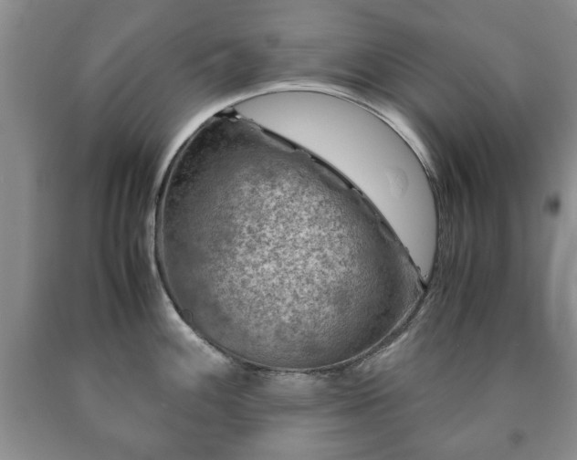 X0000090601100200707241038