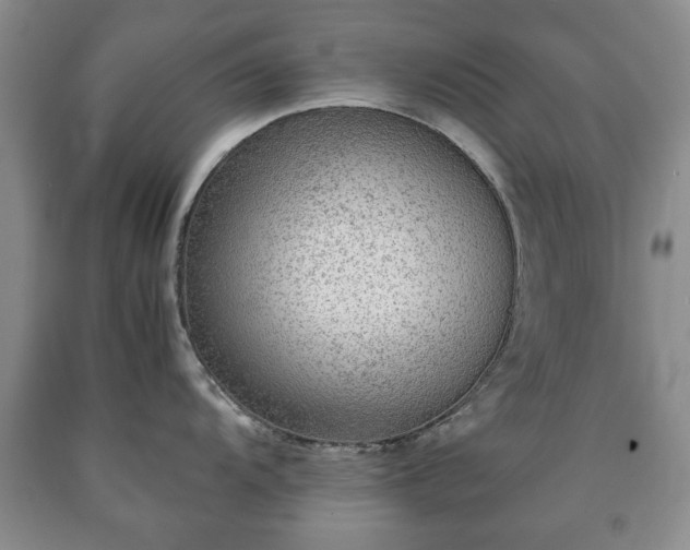 X0000090601104200707241038