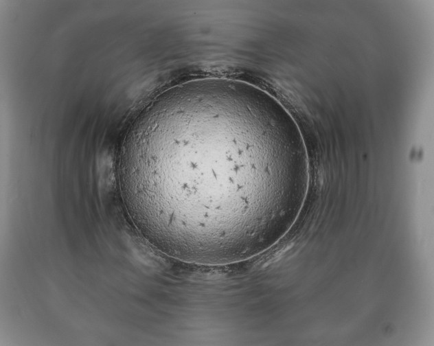 X0000090601106200707241037