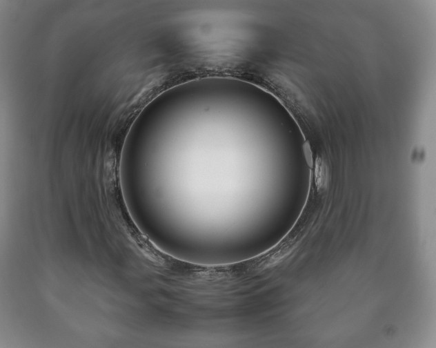 X0000090601107200707241037