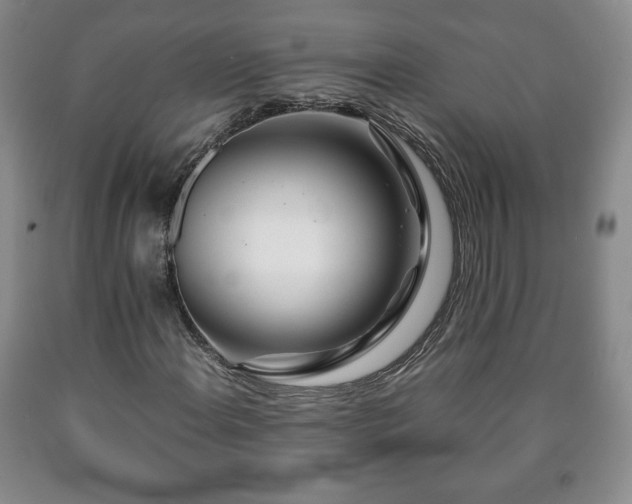 X0000090601108200707241037