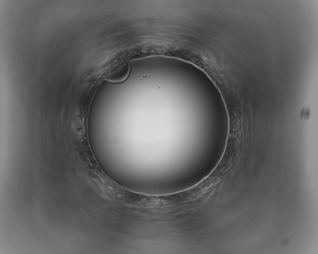 X0000090601109200707241037