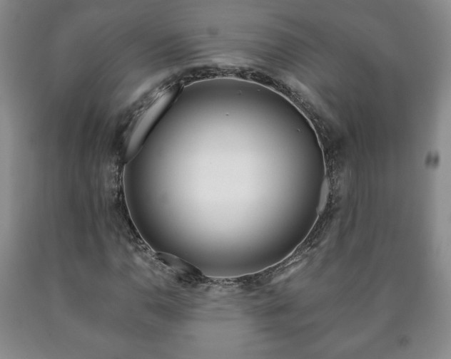 X0000090601110200707241037