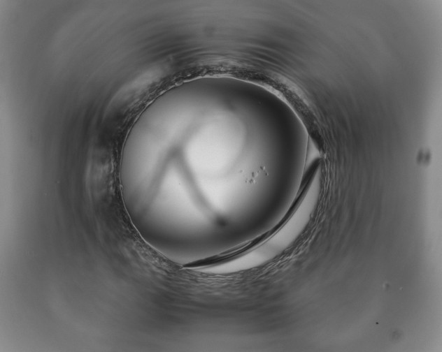 X0000090601111200707241037