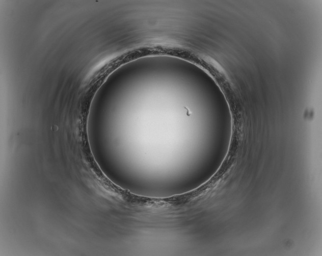 X0000090601112200707241037