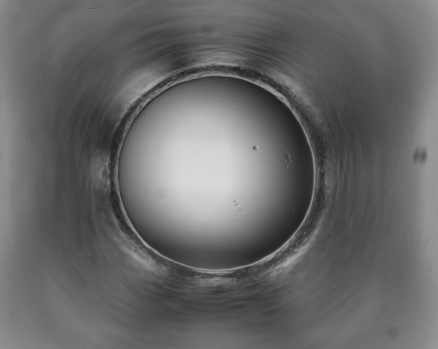 X0000090601113200707241037