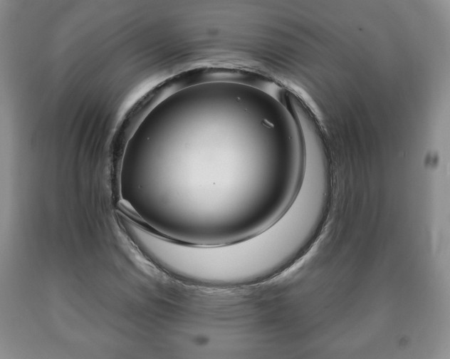 X0000090601114200707241037