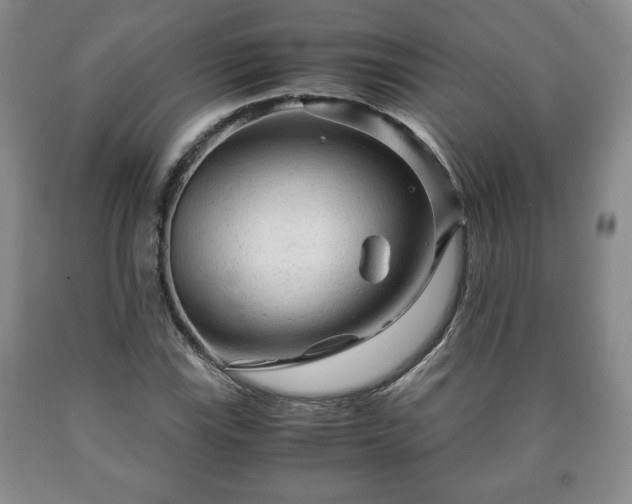 X0000090601115200707241037