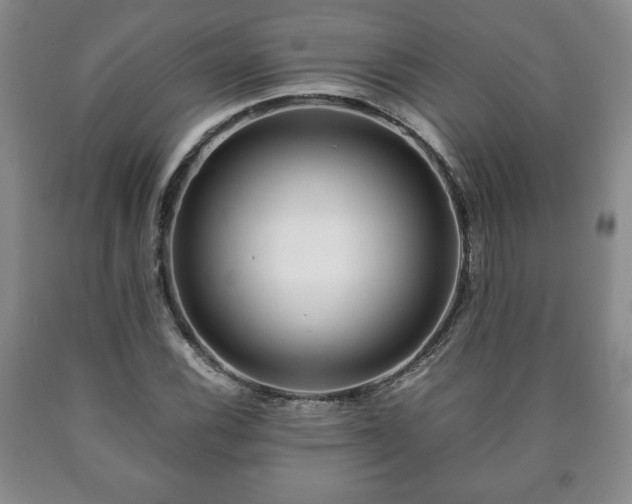 X0000090601116200707241037