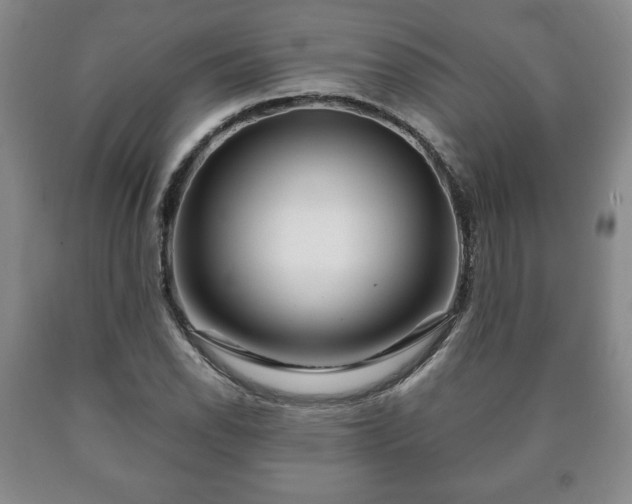 X0000090601118200707241037