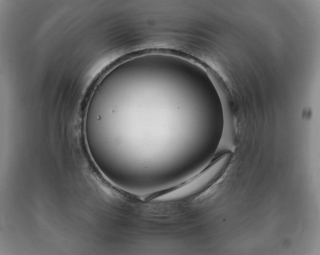 X0000090601119200707241037