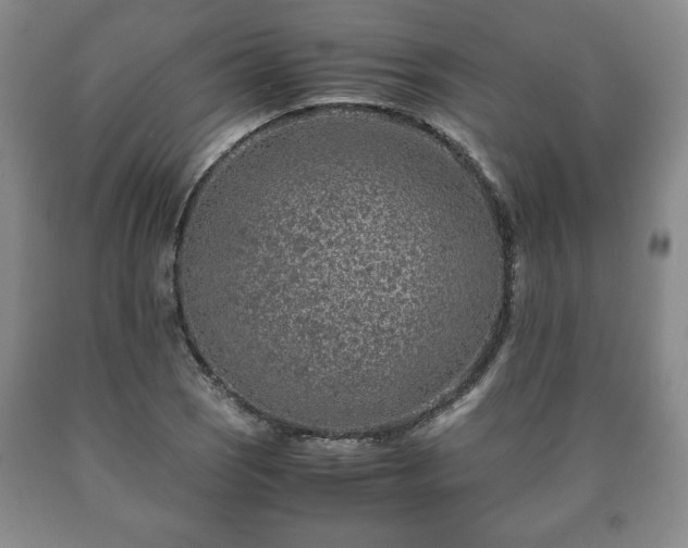 X0000090601121200707241037