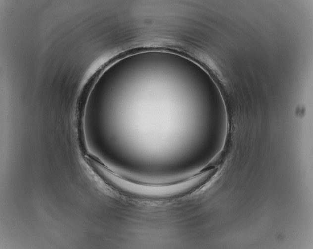 X0000090601122200707241037