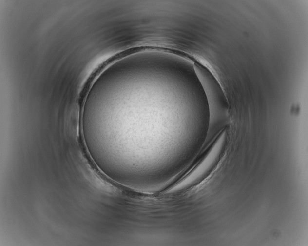 X0000090601123200707241037