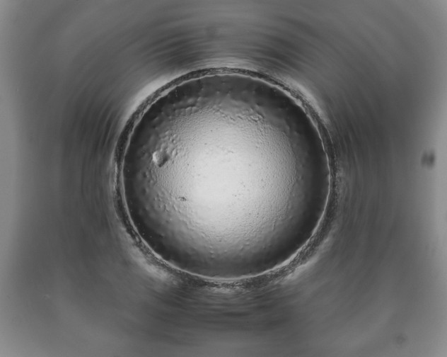 X0000090601125200707241037