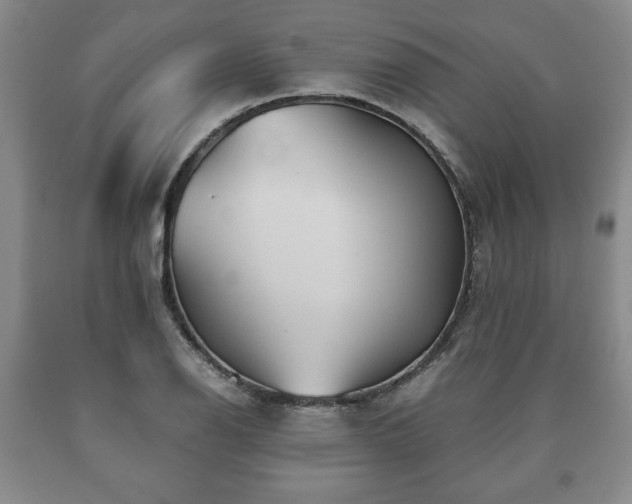 X0000090601126200707241037