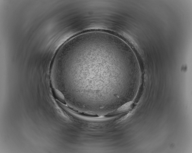 X0000090601129200707241037
