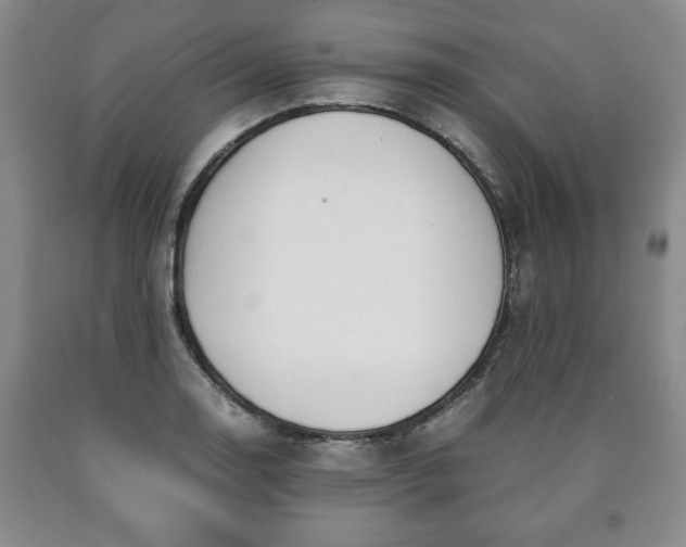 X0000090601130200707241037