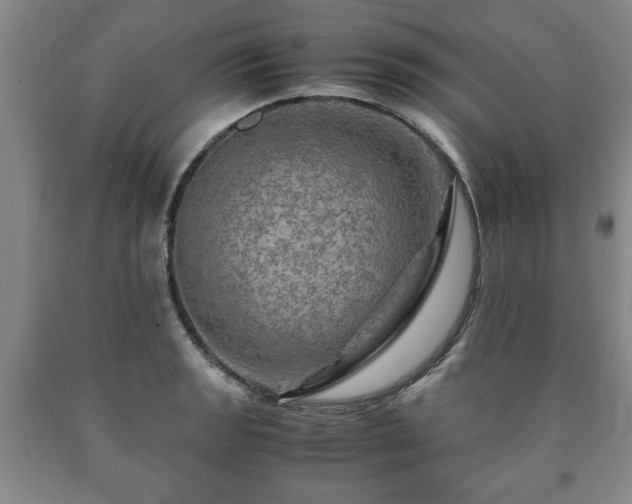 X0000090601133200707241037