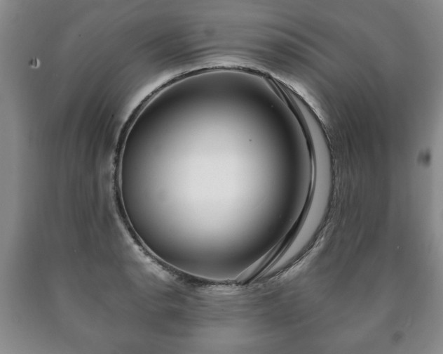 X0000090601134200707241037