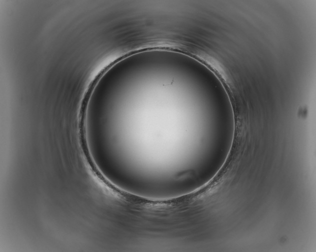 X0000090601135200707241037