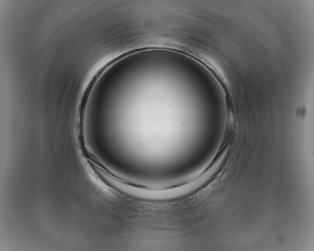 X0000090601136200707241037