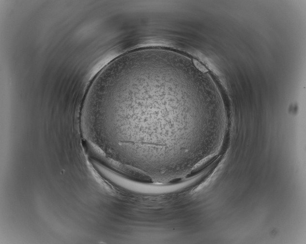 X0000090601137200707241037